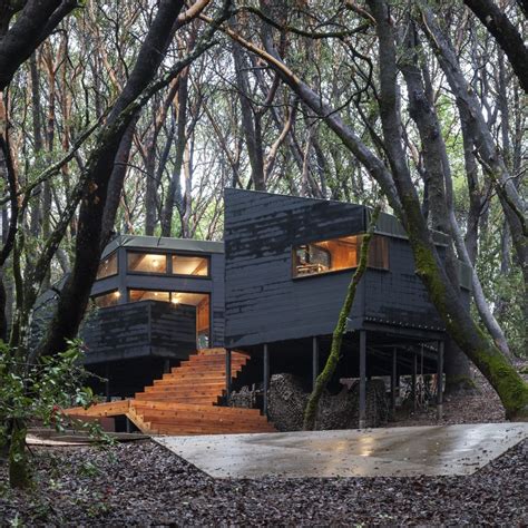 The Forest House In Northern California - IGNANT