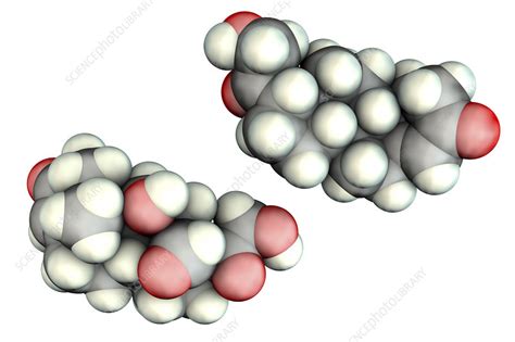 Aldosterone hormone, molecular model - Stock Image - F024/3088 ...