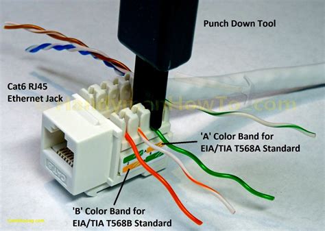 Networking 101: How To Punch Down Cat5/e/cat6 Keystone Jack - Cat6 ...