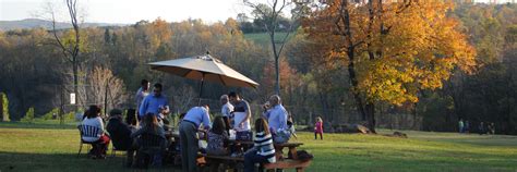 Cana Vineyards and Winery of Middleburg | Virginia Wine