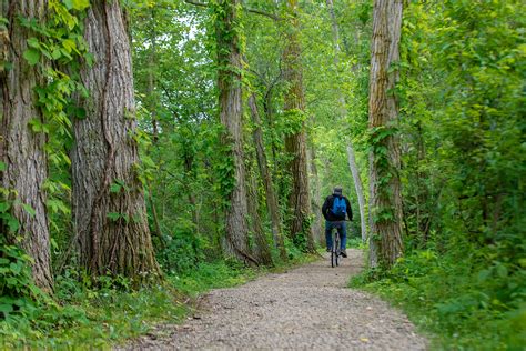 Photos: Point Pelee National Park at 100 | Canadian Geographic