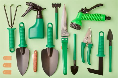 Essential gardening tools that every gardener should have| PlantPik