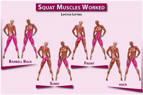 What Muscles Do Squats Work? | Lipstick Lifters