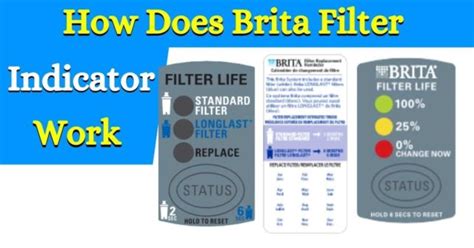 Why Is Brita Faucet Filter Indicator Light Not Working?