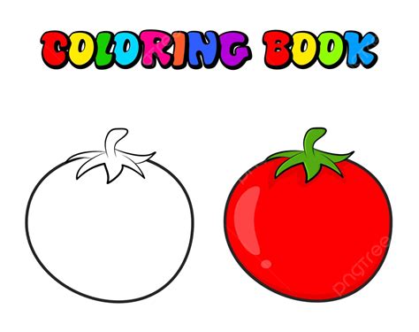 Minimalistic Tomato Sketch For Coloring Book With White Background ...
