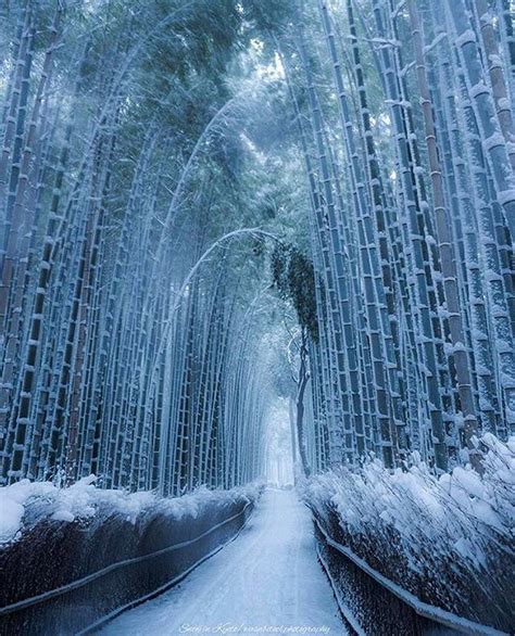 arashiyama bamboo grove - Google Search | Japan travel, Winter scenery, Beautiful landscape ...