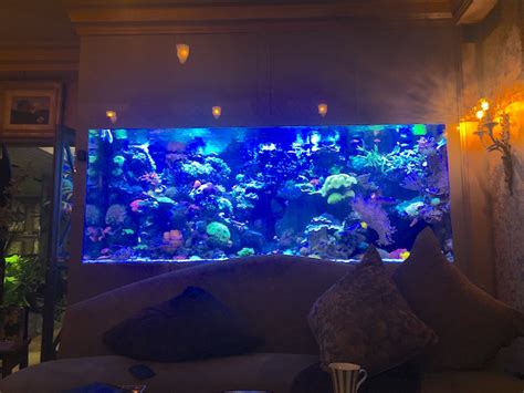 The Modern Reef Aquarium Fish Room | Reef Builders | The Reef and ...