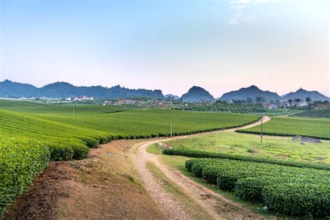 Brown Dirt Road in between Green Grass · Free Stock Photo