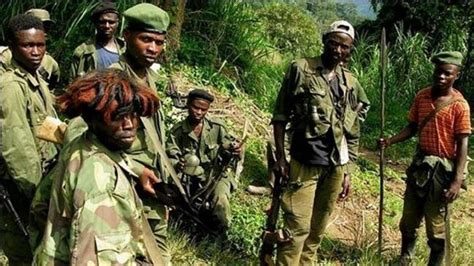 Sud-Kivu : deux groupes rebelles burundais, RED Tabara et Imbonerakure ...