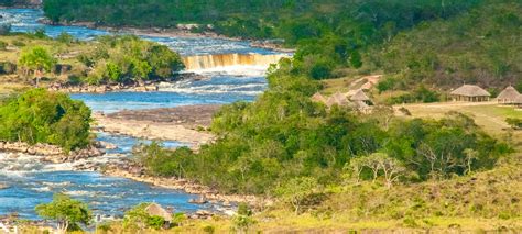 Ciudad Guayana | musement