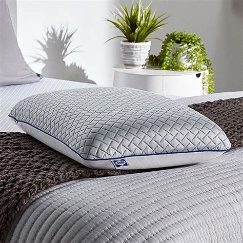 Sealy Essentials Cool Touch Memory Foam Pillow Multi F01-00789-ST0 ...