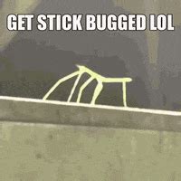 Stickbug GIF - Find & Share on GIPHY