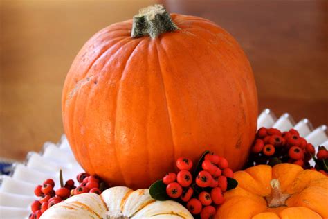 How to Prepare a Pumpkin (How to Cook, Bake or Roast a Pumpkin) In 3 ...