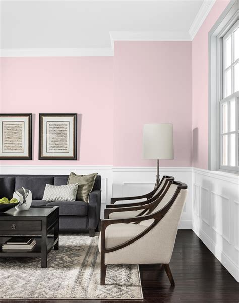 Rosebud - Johnstone's Interior Paint Colours