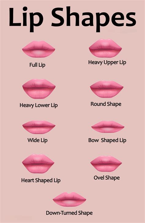 Different Types Of Lip Shapes With Their Names (Infographic)