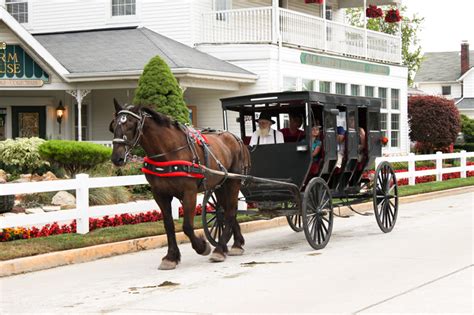 Amish Country Tour - Shipshewana, IN | Sunshine Tours