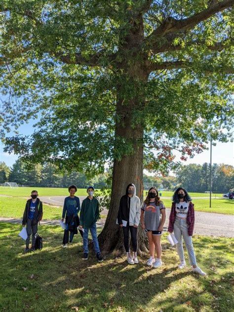 King Philip Students Advocate to Save Tree - We-Ha | West Hartford News