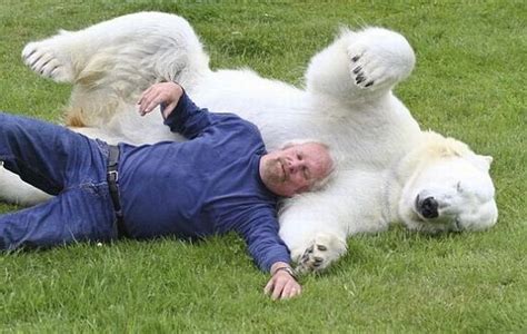 Man & Polar Bear - Barnorama