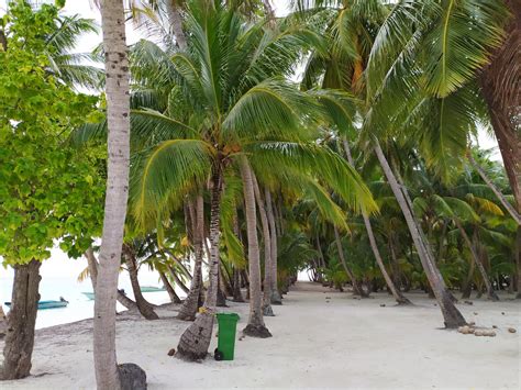 Island Life Maldives - Guesthouse resort accommodation holiday