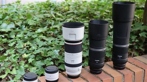 We Played with the New Canon RF 100-500mm Lens! How Is It? - GearOpen.com