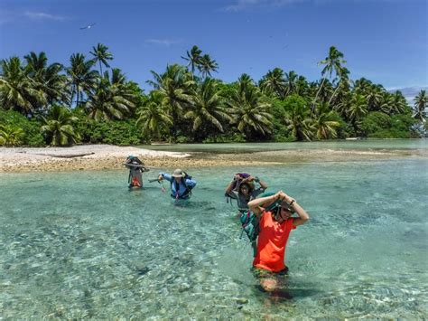 Field Work on Palmyra Atoll, L [IMAGE] | EurekAlert! Science News Releases