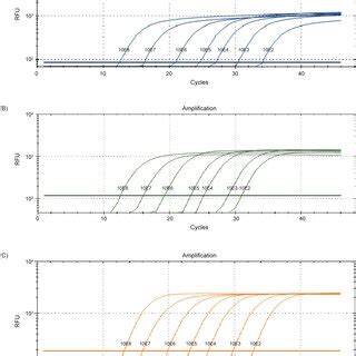 The PCR amplification curve originated from 10‐fold gradient dilution ...