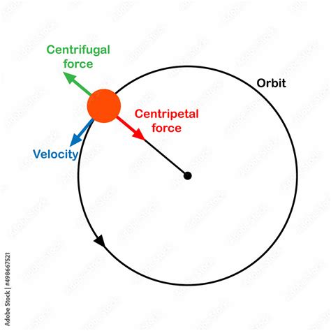 centripetal and centrifugal force diagram Stock Vector | Adobe Stock