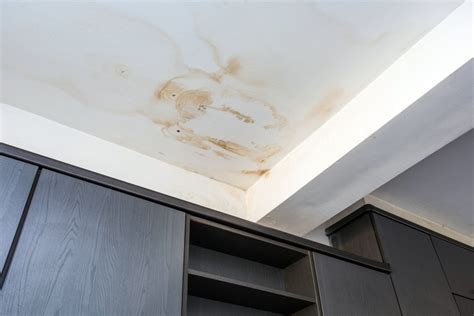 4 Causes of Water Stains On Your Ceiling & Ways to Respond | Dry Force