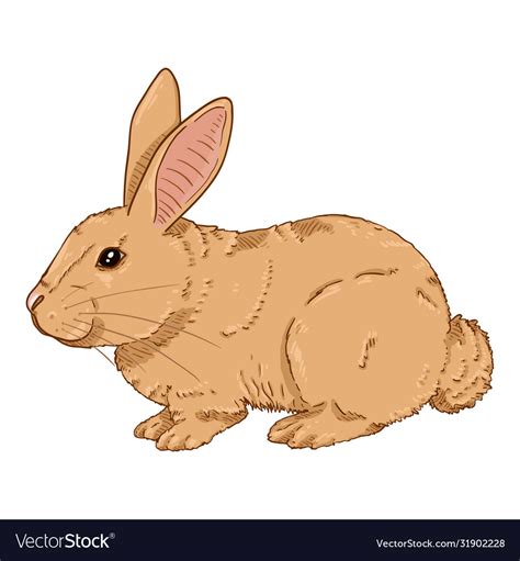 Cartoon brown rabbit Royalty Free Vector Image