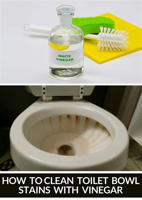 Best way to clean toilet bowl stains with Vinegar | Toilet bowl stains, Clean toilet bowl stains ...