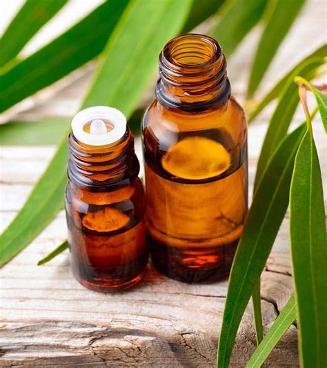 10 Health Benefits Of Eucalyptus Oil And How To Use It