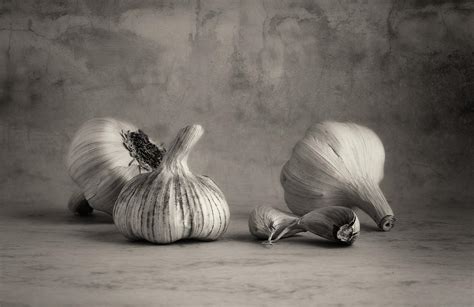 Spanish Garlic Still Life Black And White Photograph by Mark Haley