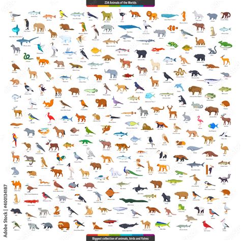 Animals of the World Big Collection. Animals, birds and fishes living ...