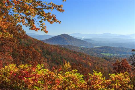 Asheville Fall Foliage, Festivals, and Fun!