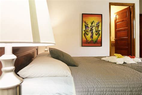 Parrot Cove Lodge Rooms: Pictures & Reviews - Tripadvisor