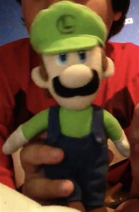 Help to restore my Mario Party 5 Luigi plush. : r/Mario