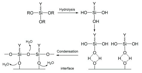 Action mechanism of the silane coupling agent. | Download Scientific Diagram