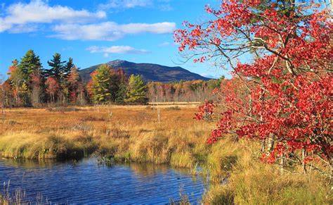 Mount Monadnock Autumn from Scott Brook Photograph by John Burk - Fine ...