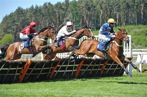 Perth Racecourse continues preparations for behind closed doors racing - Daily Record