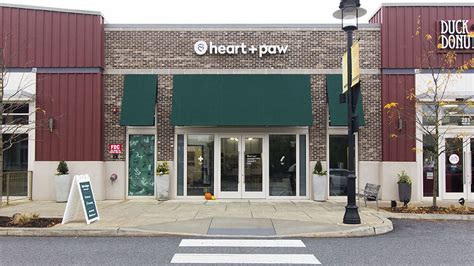 Pet Care at King of Prussia, Pennsylvania | Heart + Paw