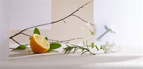 Fragrance layering - Natural care - Typology