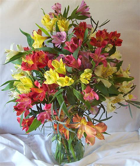 Florist in Prospect CT|waterbury