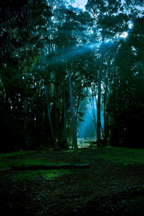 Lighted path by AlexeyG on DeviantArt