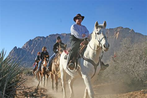 Shopping Cart | Horseback riding, Horses, Las vegas tours