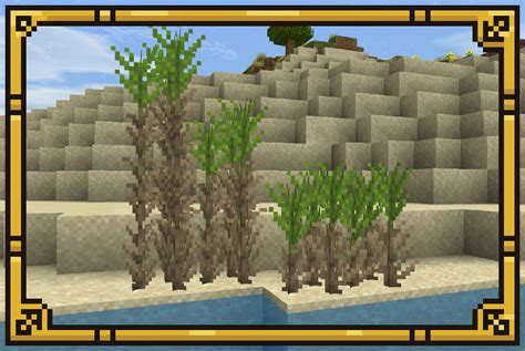 Minecraft Sugar Cane Texture Pack | Images and Photos finder