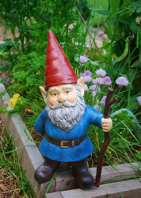 Garden Gnomes, Anyone?