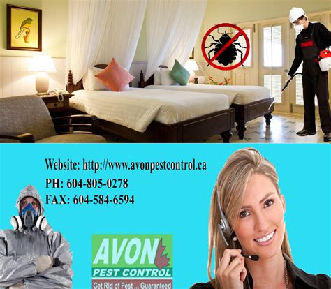 Bed Bugs Pest Control Canada Companies, Bed bug Exterminator Services ...