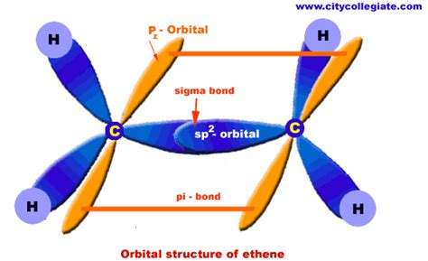 Which Hybrid Is Useful to Describe Bonding of Carbon Atom - Chase-has-Shah