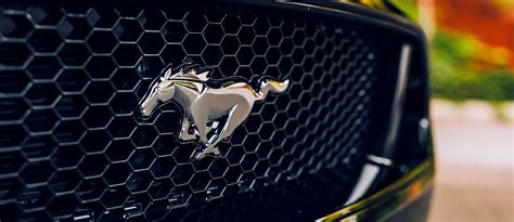 List of Car Logos with Animals: Ferrari, Ford Mustang & More | dubizzle