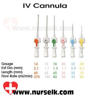 Cannula: Understanding Colors, Sizes, and Applications | Nurselk.com